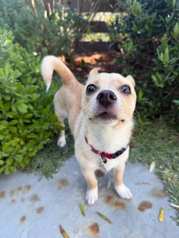 Kiki thumbnail 3