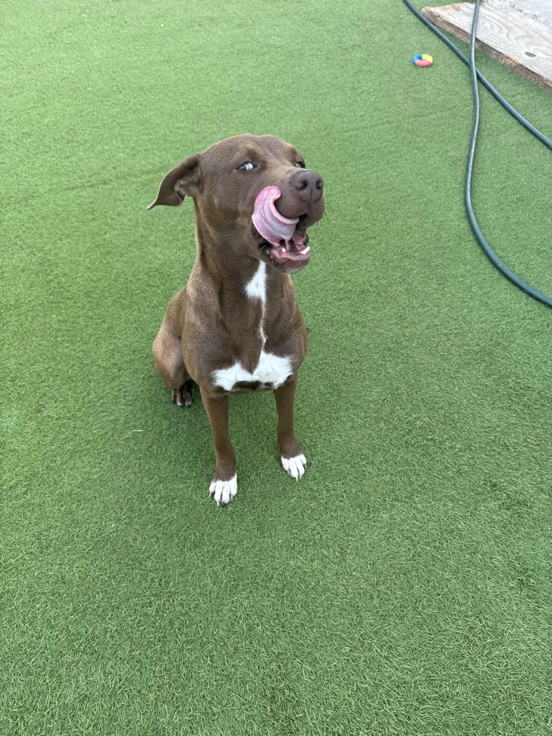 Sugarbaby : Sweet And thumbnail 2