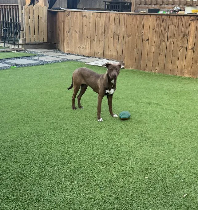 Sugarbaby : Sweet And thumbnail 3