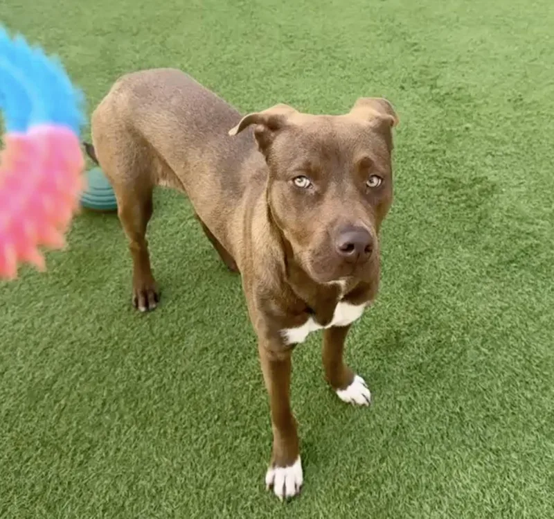 Sugarbaby : Sweet And thumbnail 5