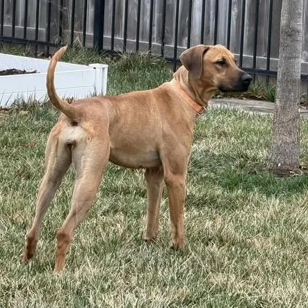 Lucy Lou thumbnail 3