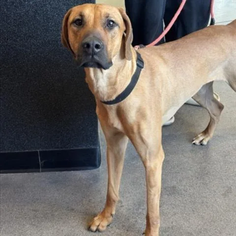 Lucy Lou thumbnail 4