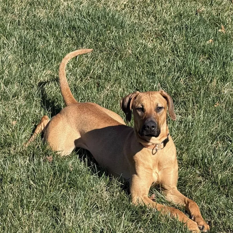 Lucy Lou thumbnail 5