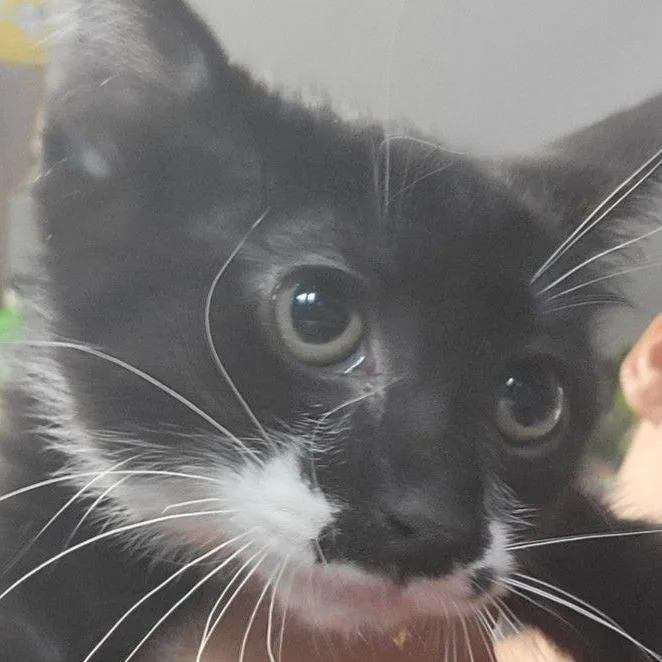 Pearl Haverly Mom thumbnail 3