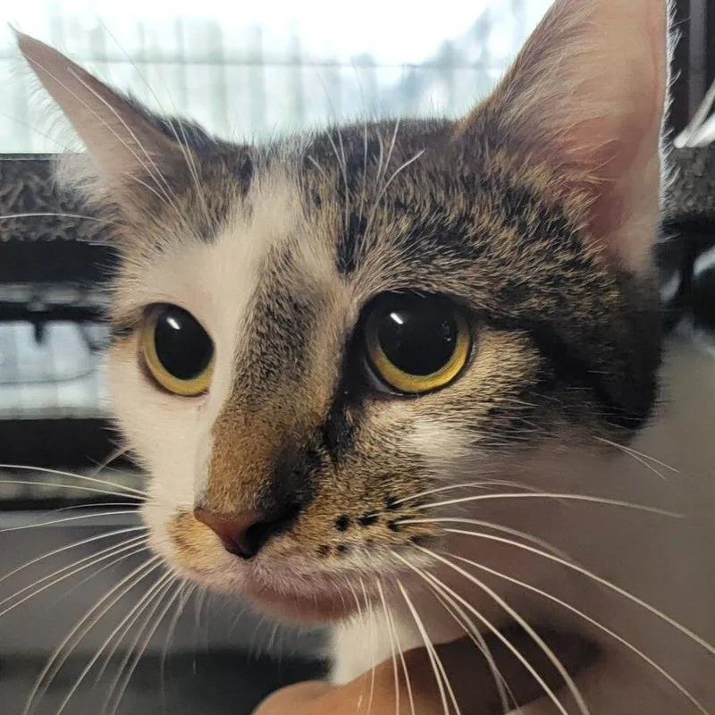 Pearl Haverly Mom thumbnail 4