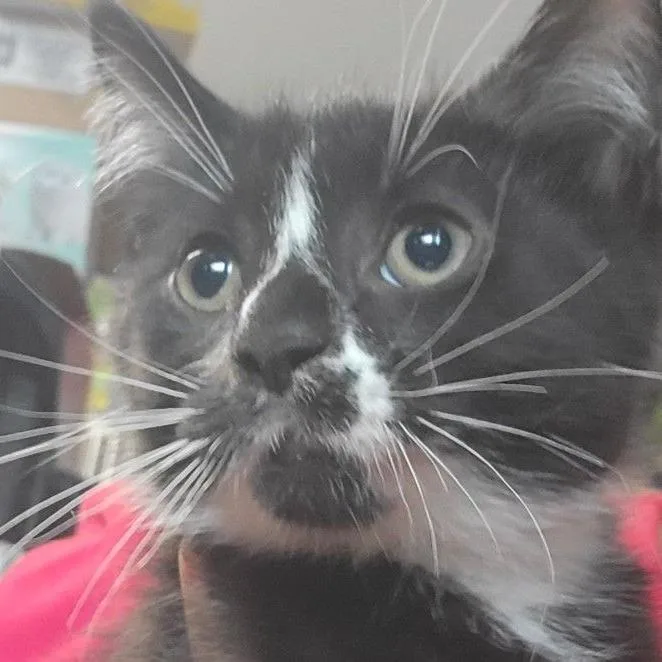 Pearl Haverly Mom thumbnail 5