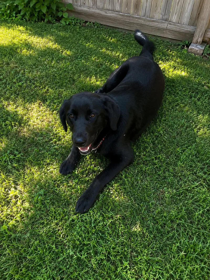 Lenny