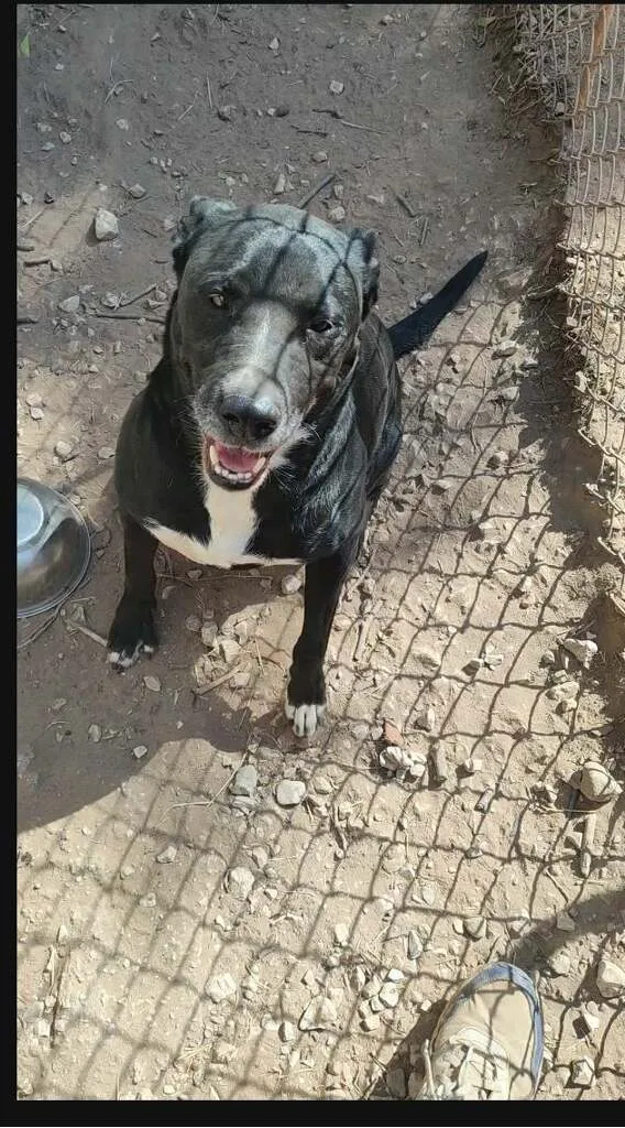 Leroy Brown thumbnail 2