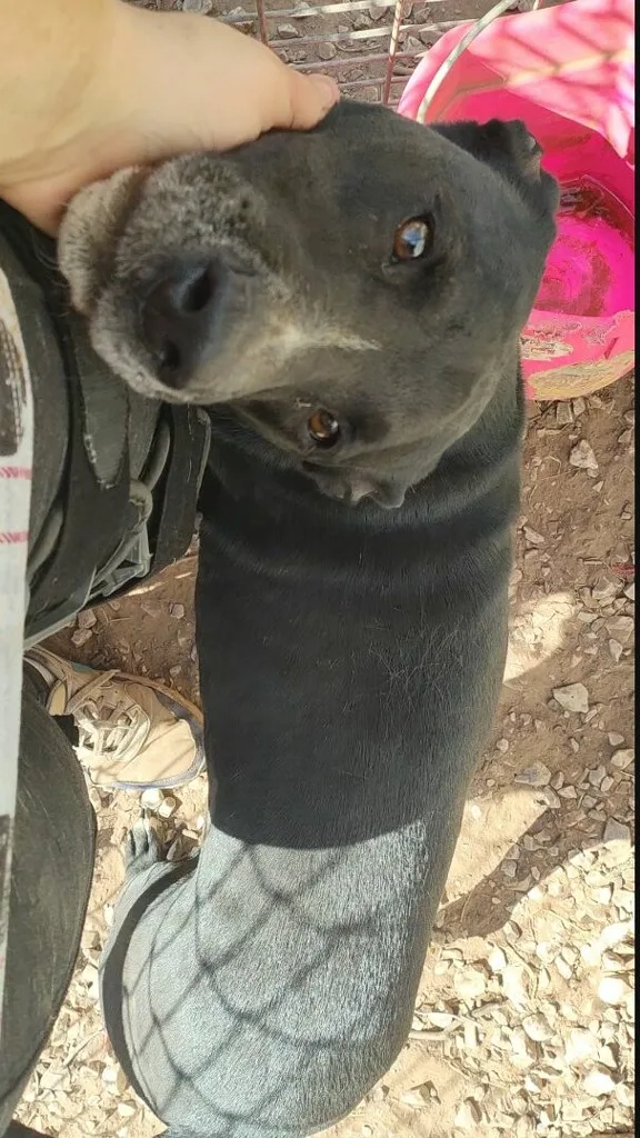 Leroy Brown thumbnail 4