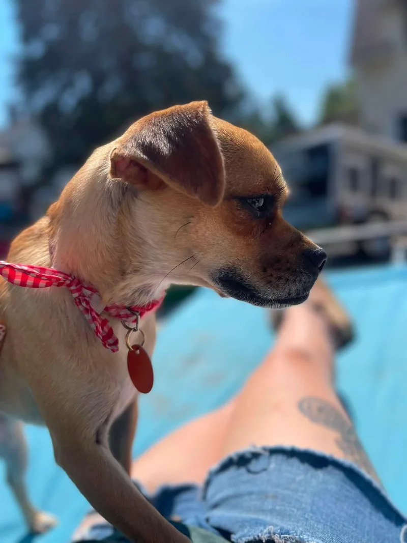 Millie Bee thumbnail 2