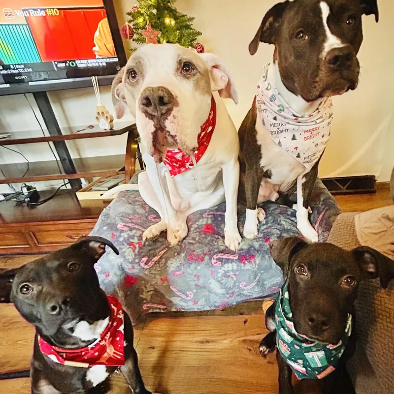 Mr. Pibb thumbnail 6