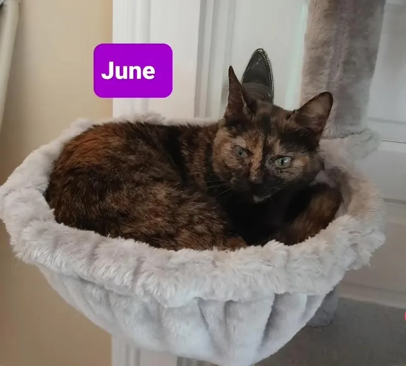 June