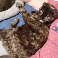 Beautiful thumbnail 2