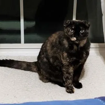 Beautiful thumbnail 3