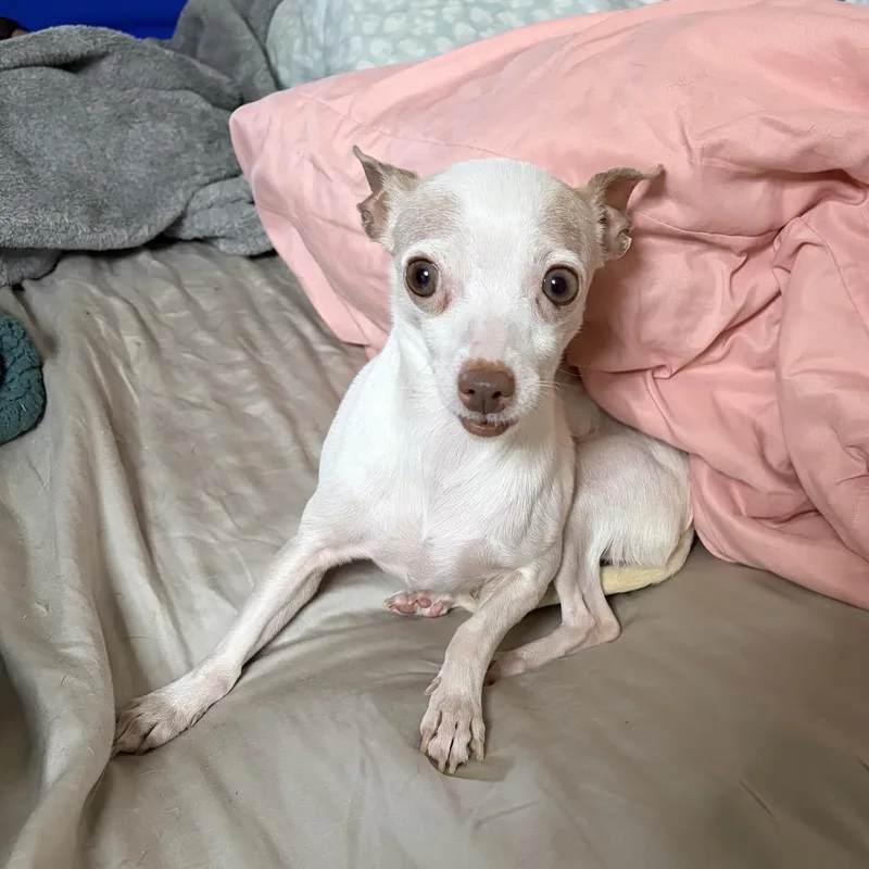 Thelma thumbnail 2