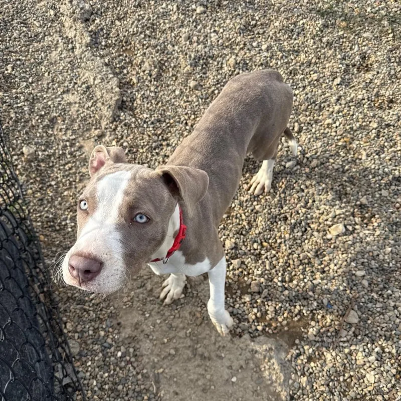 Madeline thumbnail 4