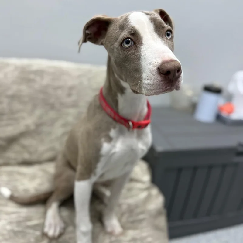 Madeline thumbnail 6