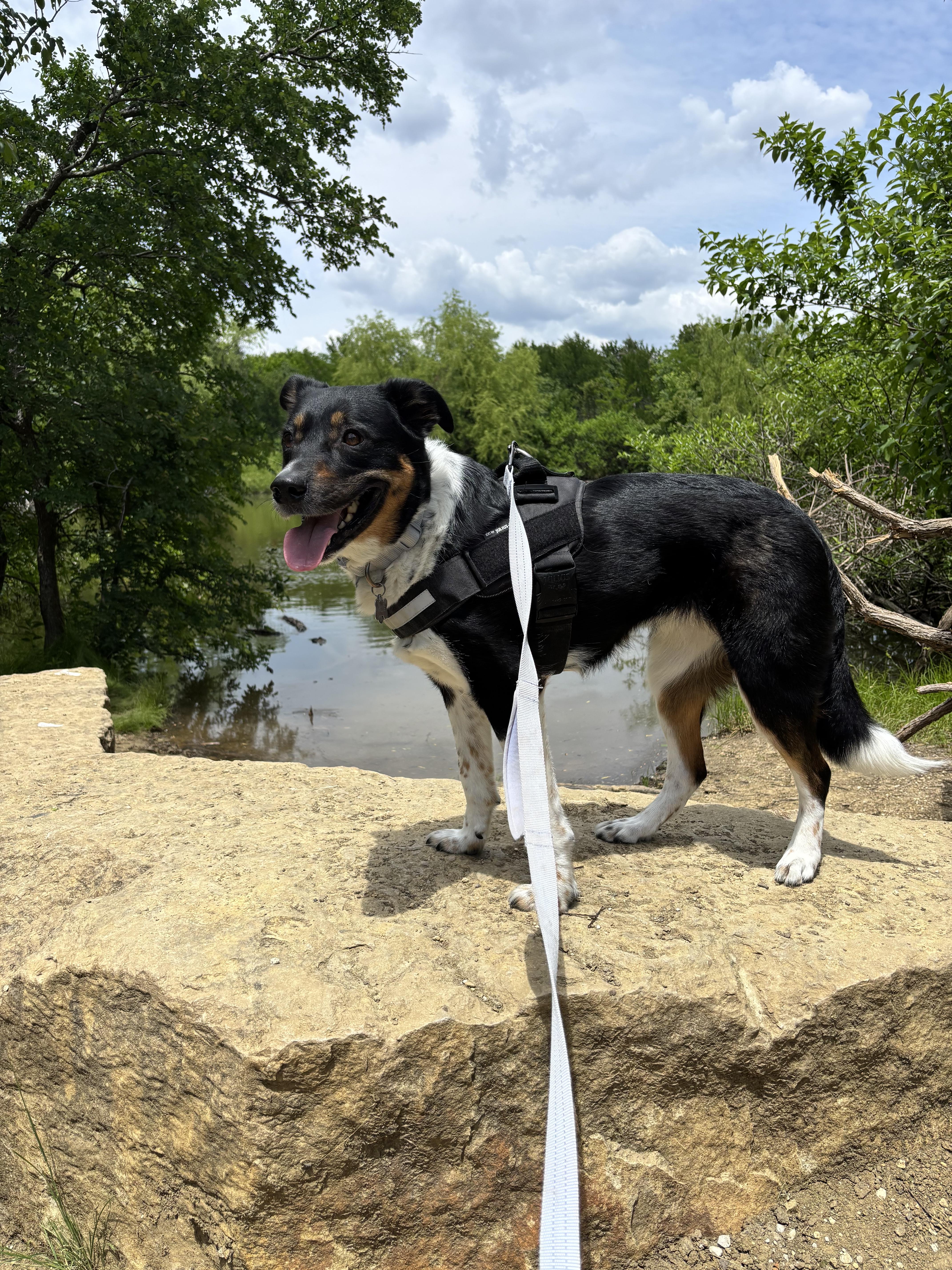 Millie G Gdp thumbnail 2