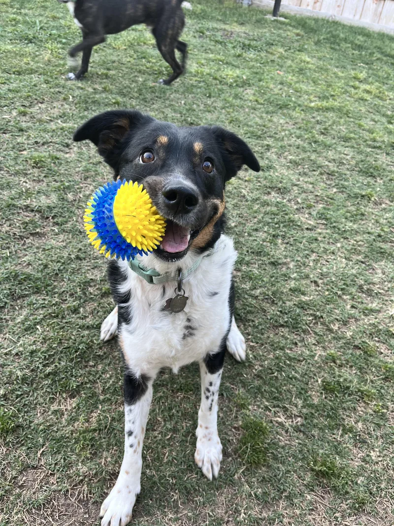 Millie G Gdp thumbnail 3