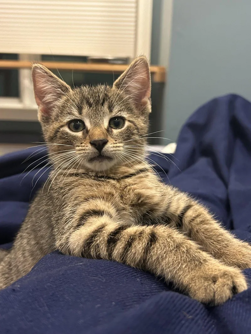 JimJam thumbnail 3
