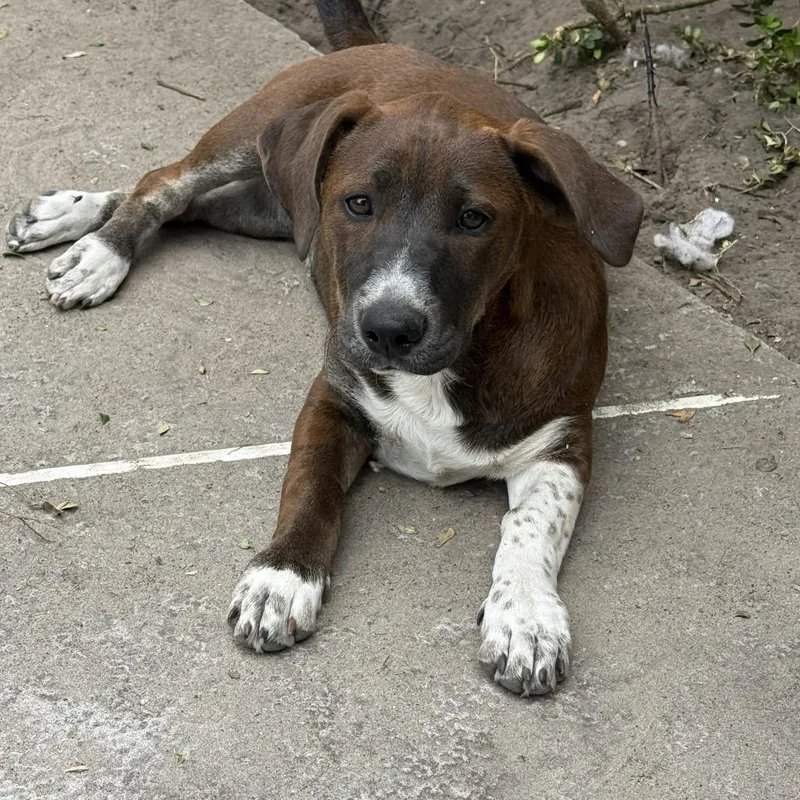 Lauren Bacall thumbnail 2