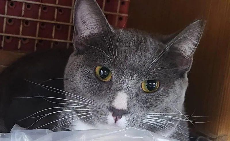 Getty Featured At The