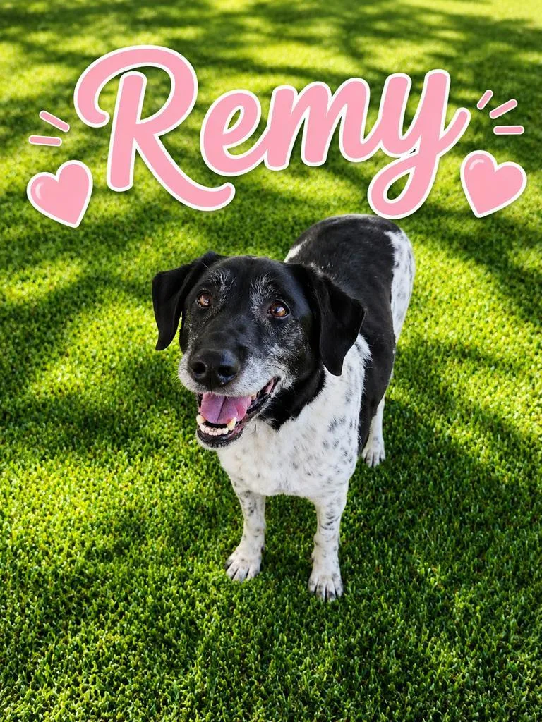 Remy thumbnail 2