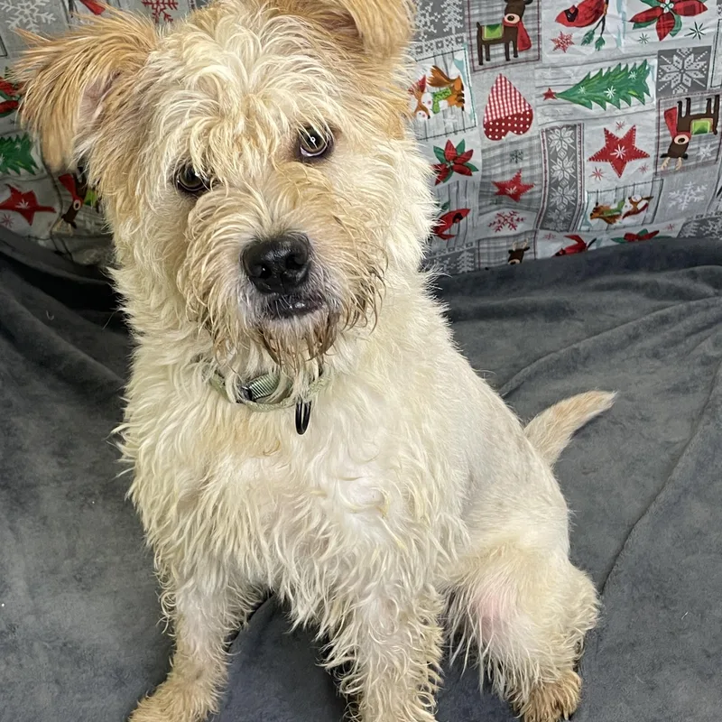 Charles B thumbnail 2