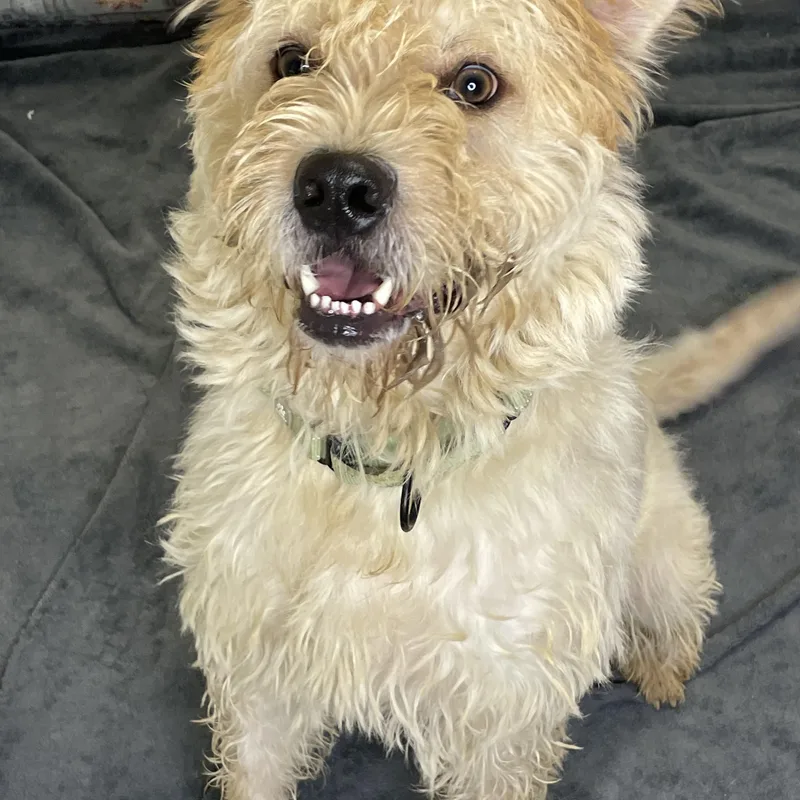 Charles B thumbnail 3