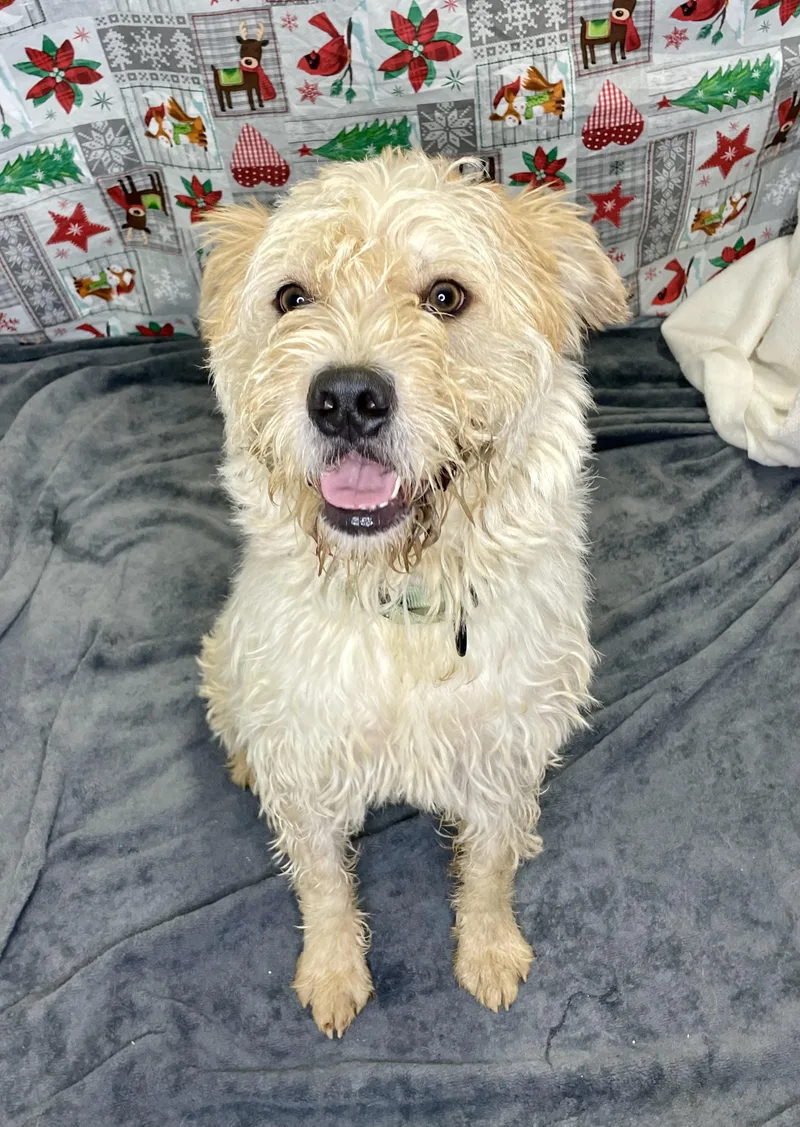 Charles B thumbnail 4