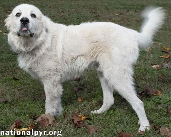 Ice In Tn  thumbnail 2