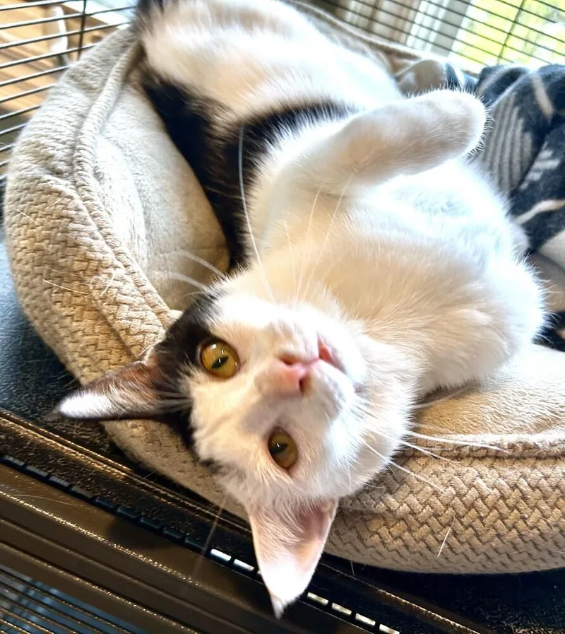 Vannessa thumbnail 2