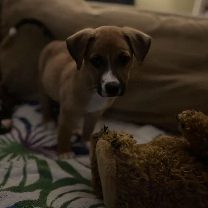 Mallory thumbnail 3