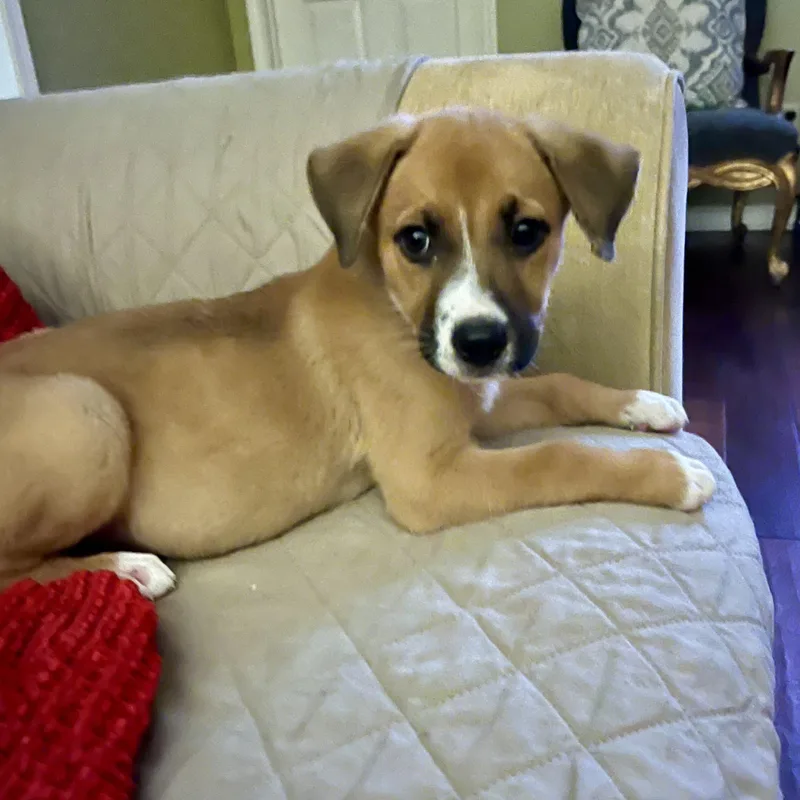 Mallory thumbnail 4
