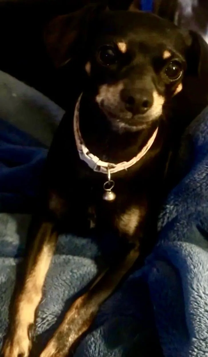Wrigley thumbnail 3