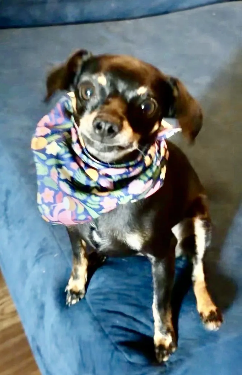 Wrigley thumbnail 4