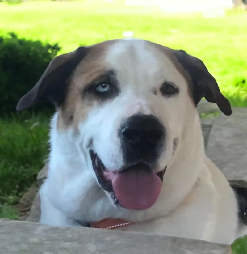 Gabby Rose thumbnail 2