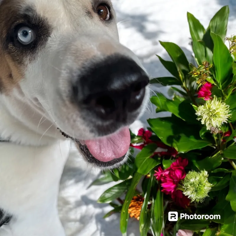 Gabby Rose thumbnail 3