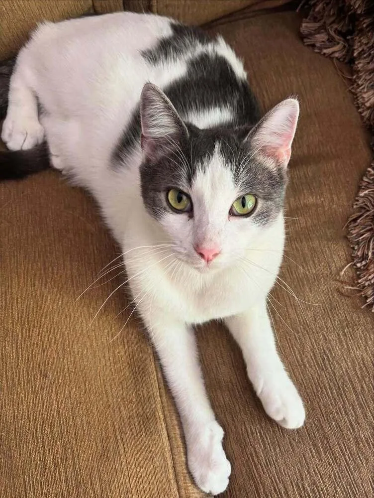 Chandler thumbnail 2