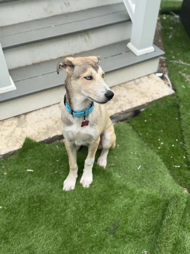 Benny Blue thumbnail 2