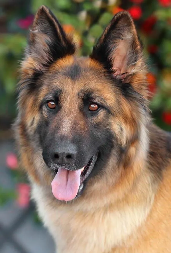 Tia Von Trittenheim thumbnail 2