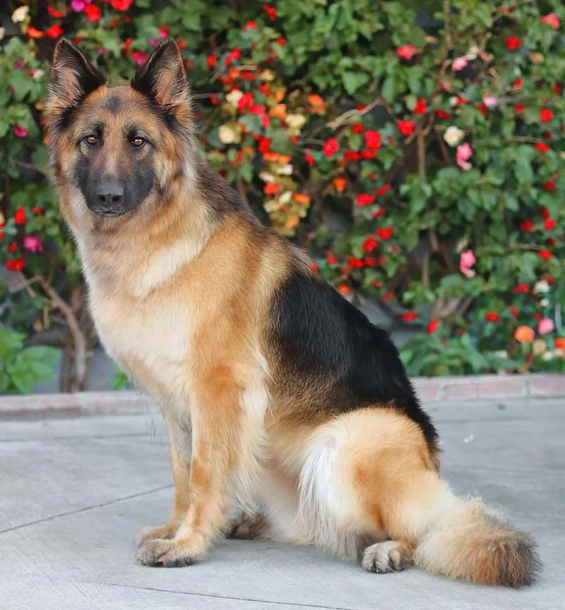 Tia Von Trittenheim thumbnail 5