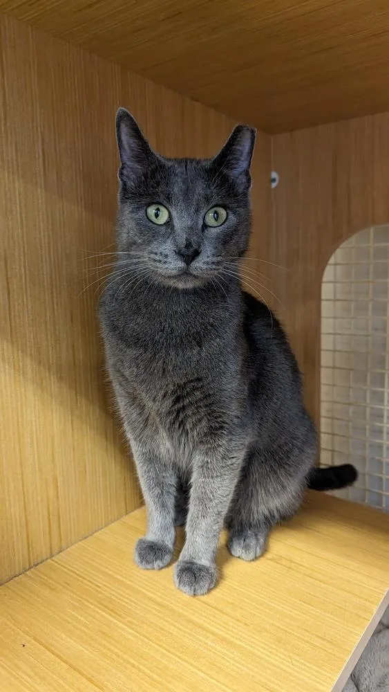 Jenny From The Block thumbnail 3