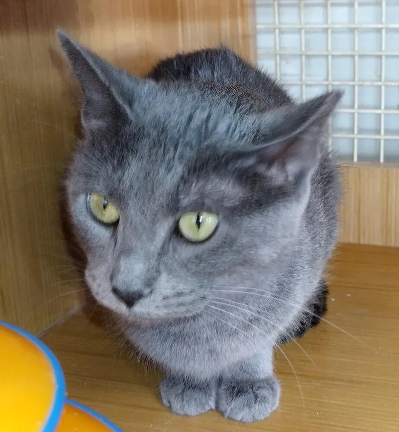 Jenny From The Block thumbnail 4