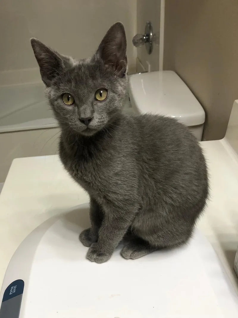 Wiggles & Fozzy thumbnail 5