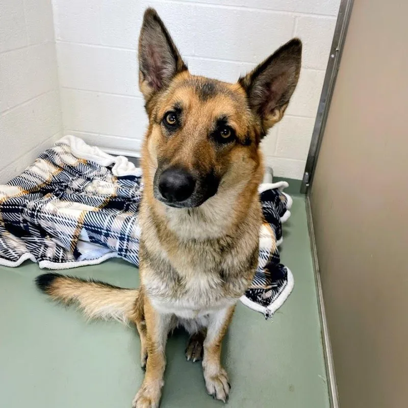 Esperanza thumbnail 2