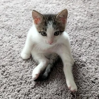 Baby Mia thumbnail 6
