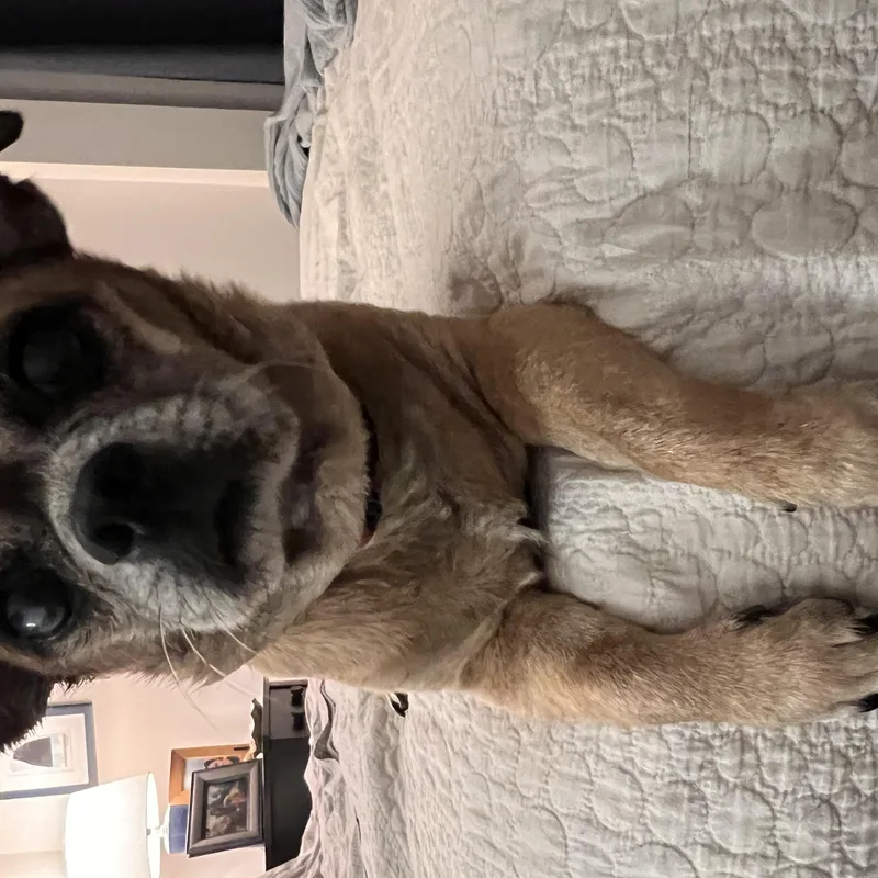 Arthur thumbnail 3