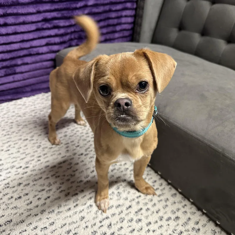 Stormie  Home Visit thumbnail 3