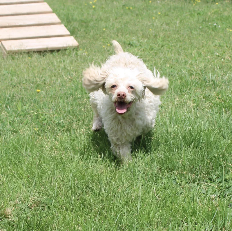 Riley